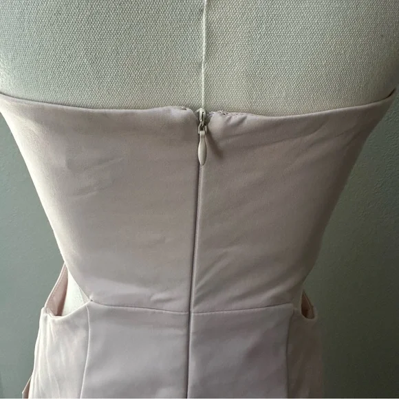 NWT Tobi Into The Night Strapless Dress in Blush - Picture 7 of 10